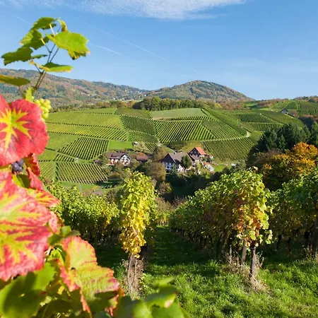 Terrassenpark * Sasbachwalden