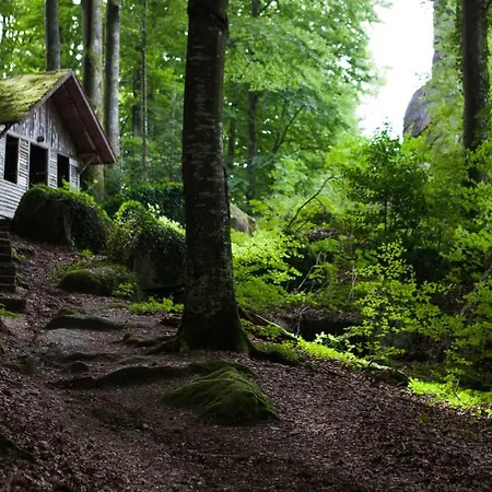 Terrassenpark Sasbachwalden