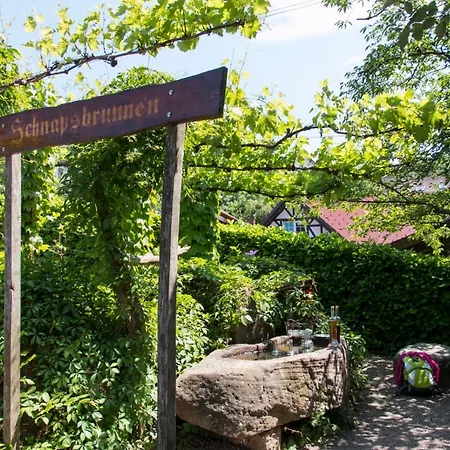 Terrassenpark Διαμέρισμα